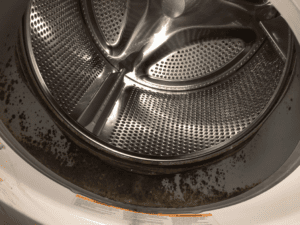 how to clean front load washer mold