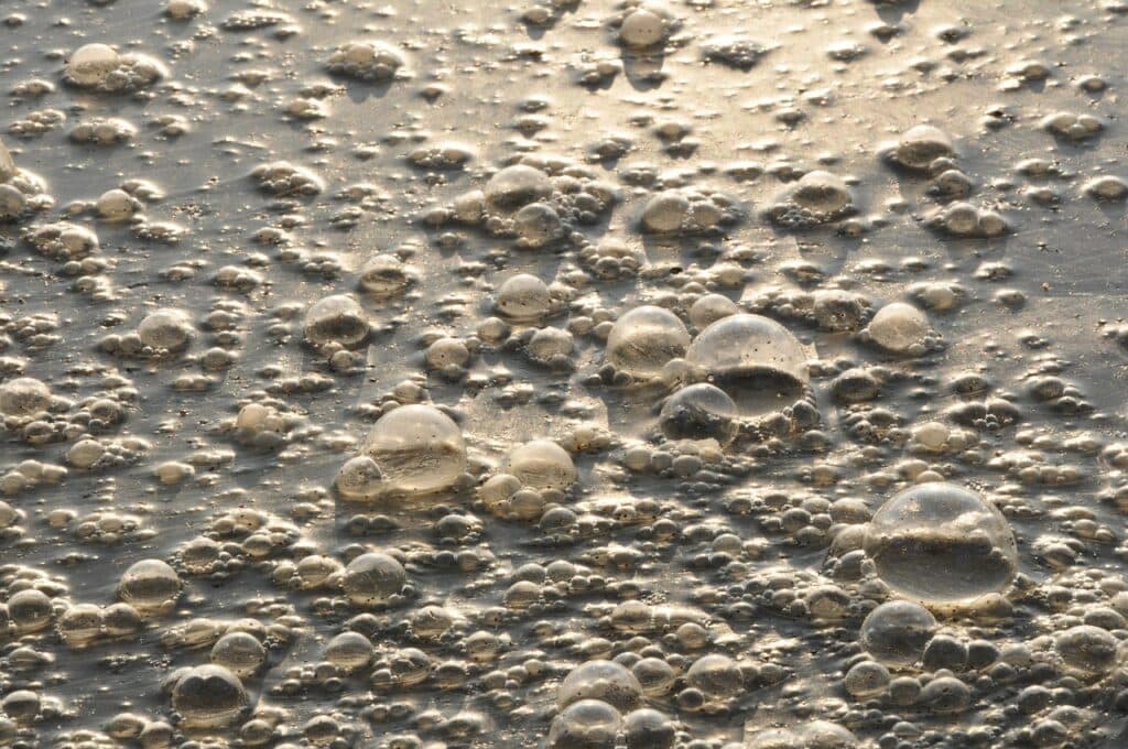 how does a septic system work