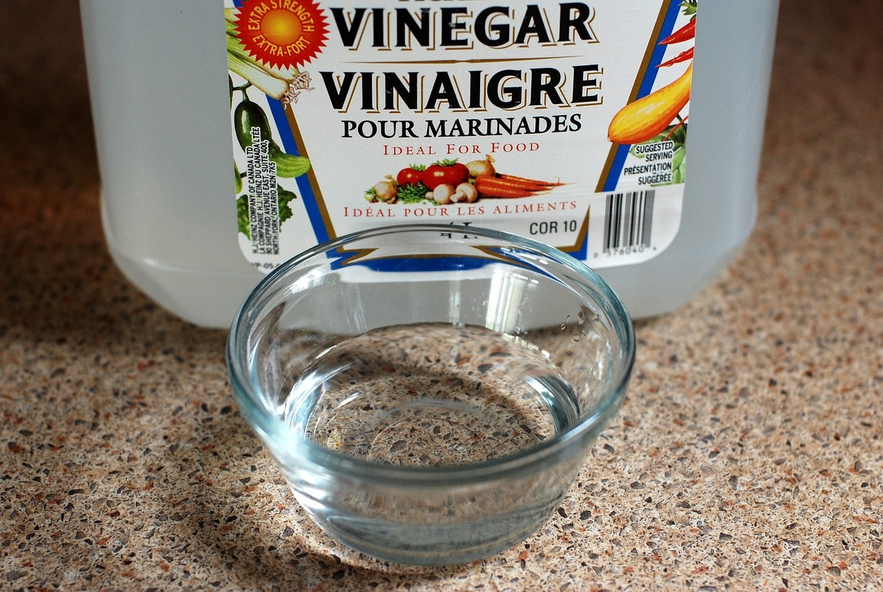 clean your dishwasher with vinegar