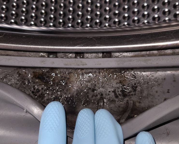 mold and mildew inside washing machine