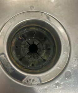 garbage disposal maintenance and care