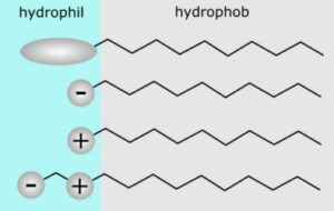 understanding amphiphilic molecules