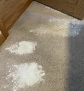 carpet stain faqs