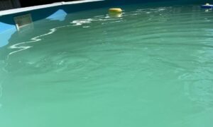 diy tips for clearing cloudy water