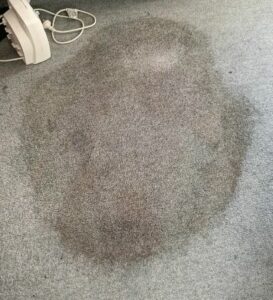 fundamentals of carpet stain removal