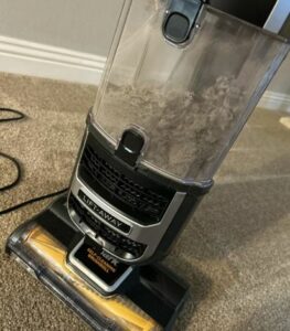maintaining your carpet after a spill