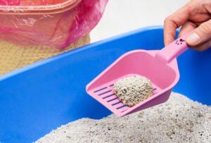 cleaning litter box