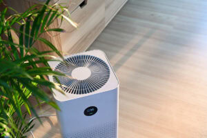 using air purifier