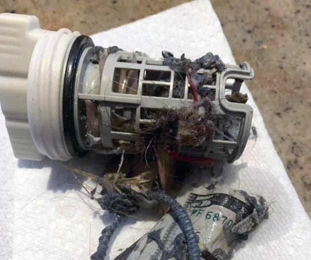 washing machine filter