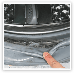 active mold stain remover step 1