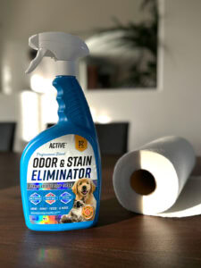 how to remove cat pee on a couch