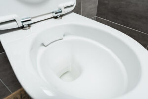 empty toilet bowl