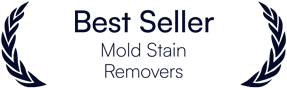 mold remover best seller