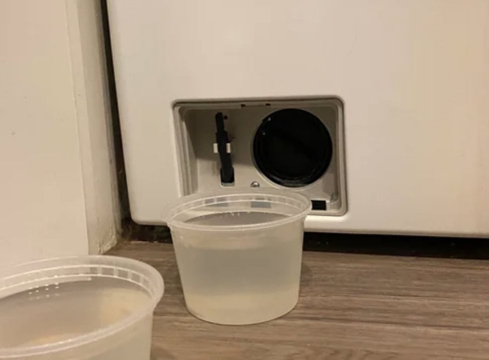 shallow container