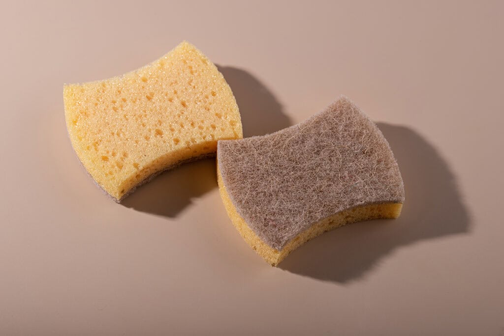 sponge 1