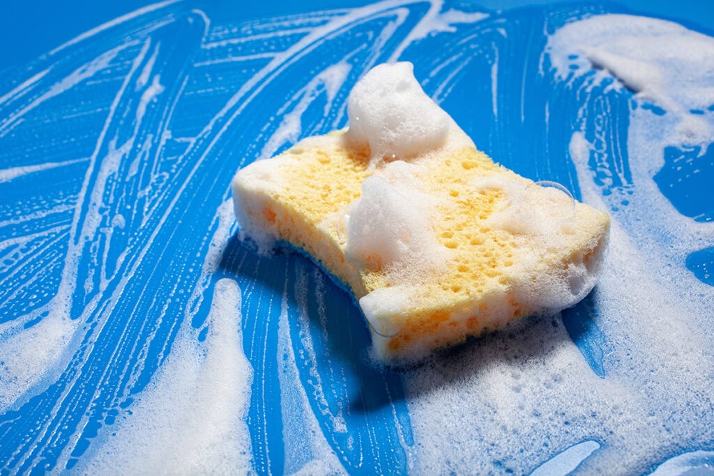sponge