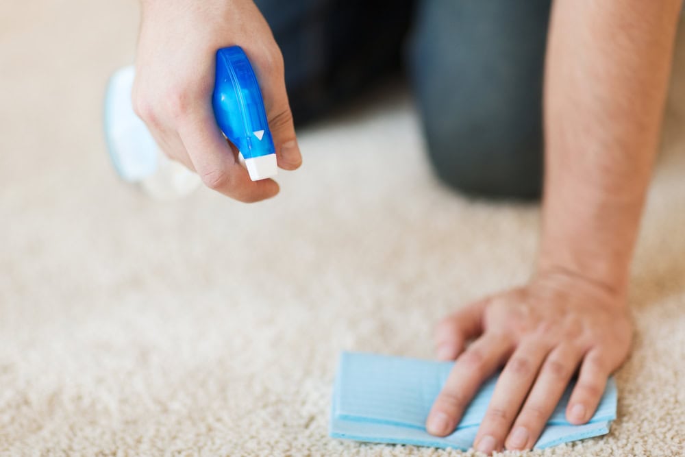 spray cleaner onto carpet