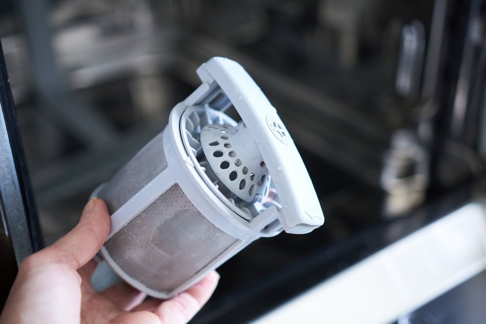 wash dishwasher filter