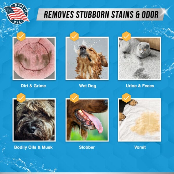 active pet detergent 4