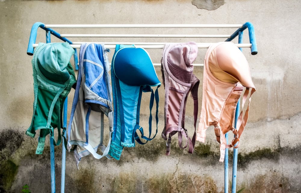 bra on drying rack