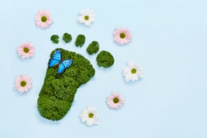 carbon footprint