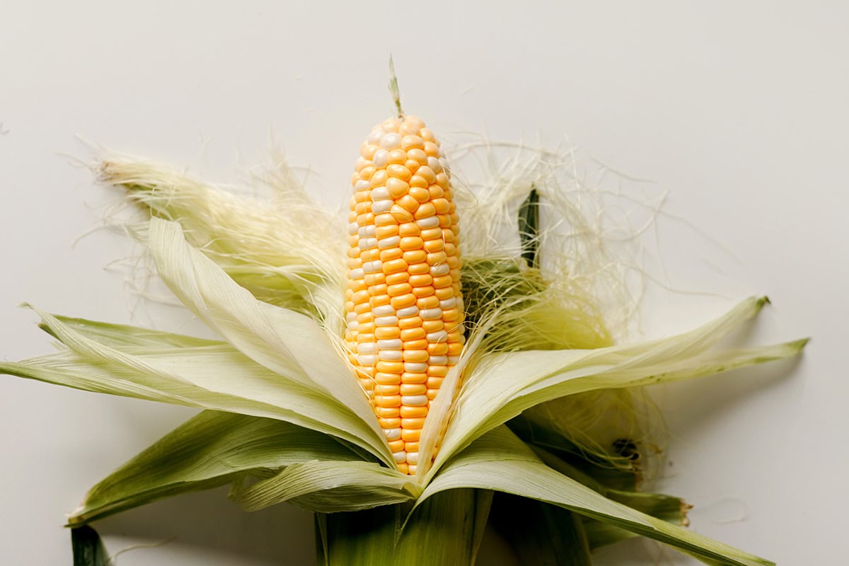 corn