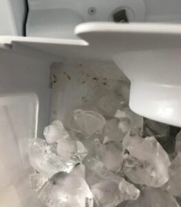 ice cubes 1
