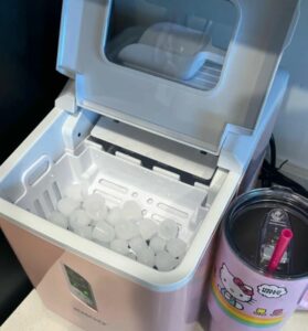 how to clean an ice maker