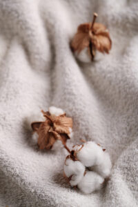 organic cotton
