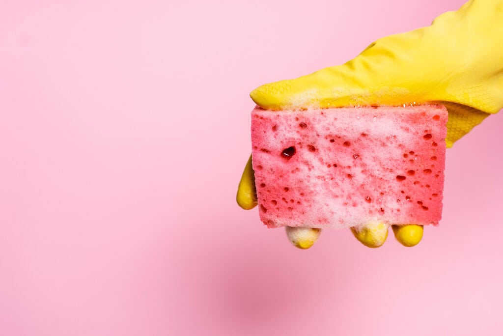 sponge
