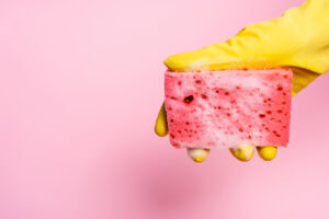 sponge