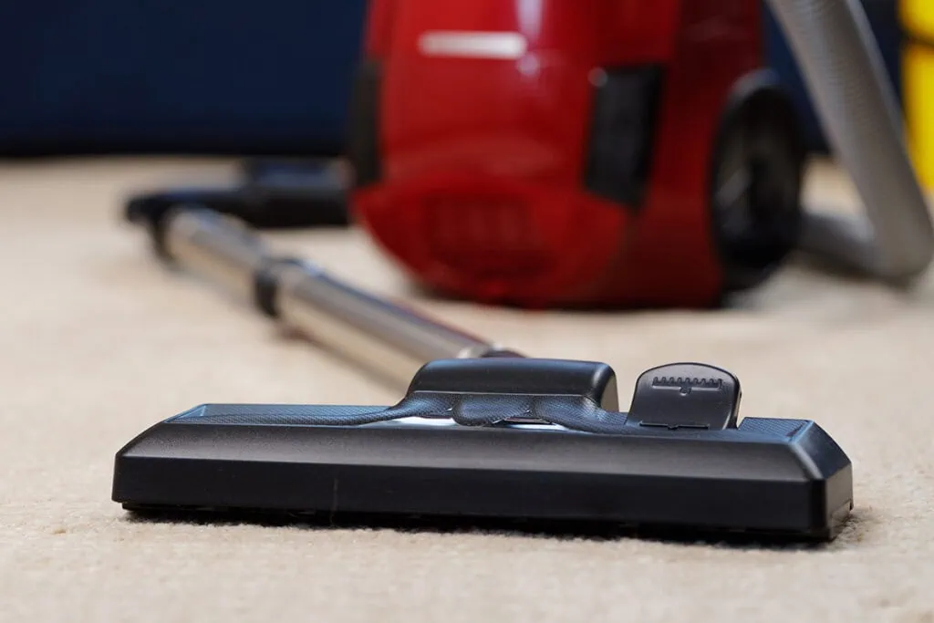 vacuum pet bed