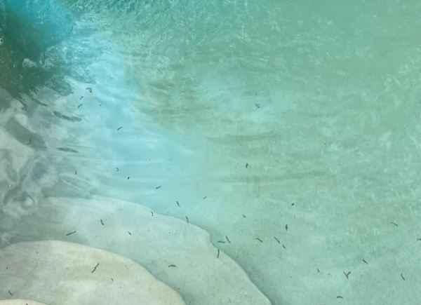 brush pool floor