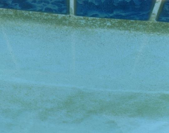 cleaning pool walls