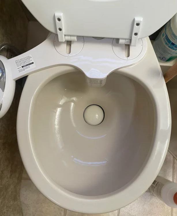 flush rv toilet