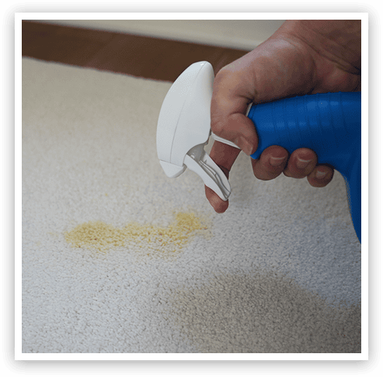 active pet odor stain eliminator step 1