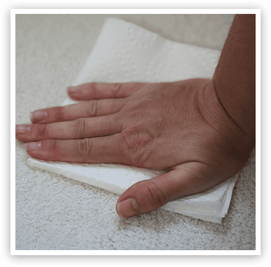 active pet odor stain eliminator step 2