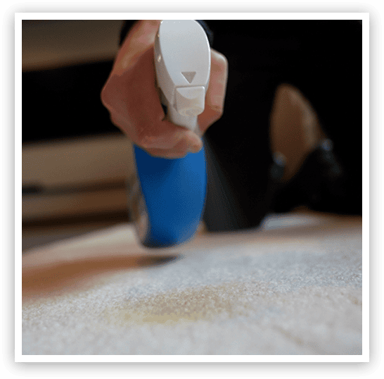 active pet odor stain eliminator step 4