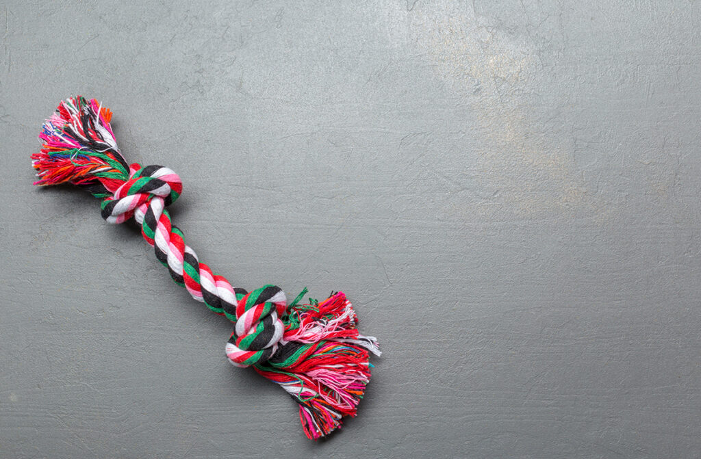 rope dog toy