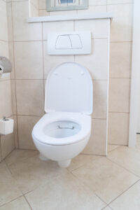 understanding toilets