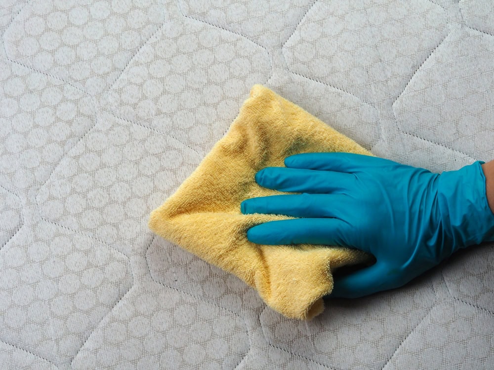 blot mattress