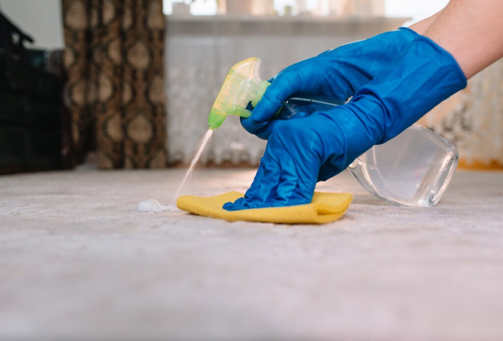 spray carpet