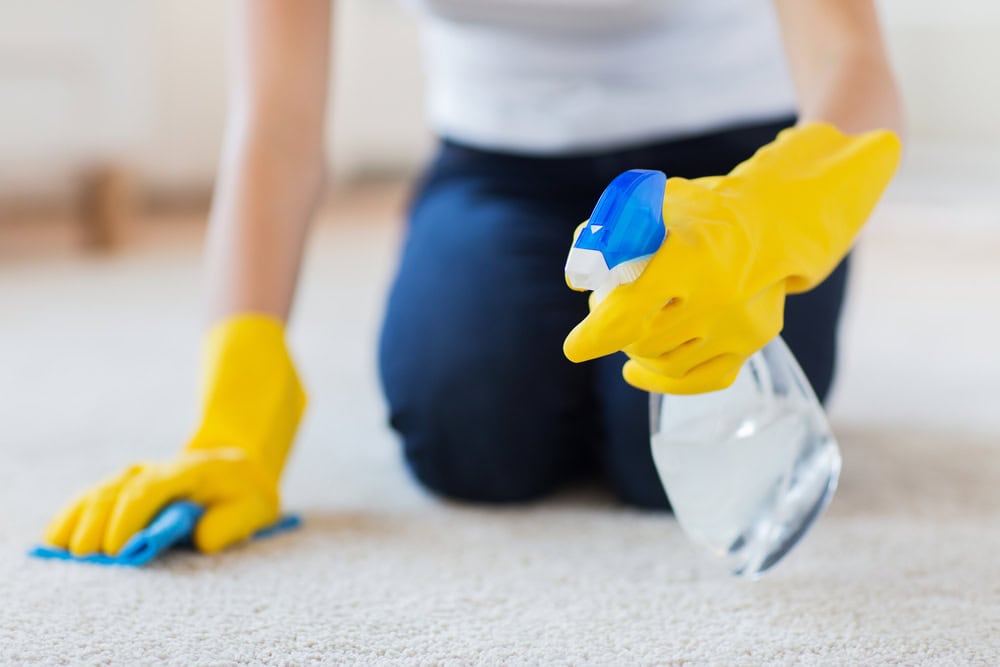 spray vinegar onto carpet