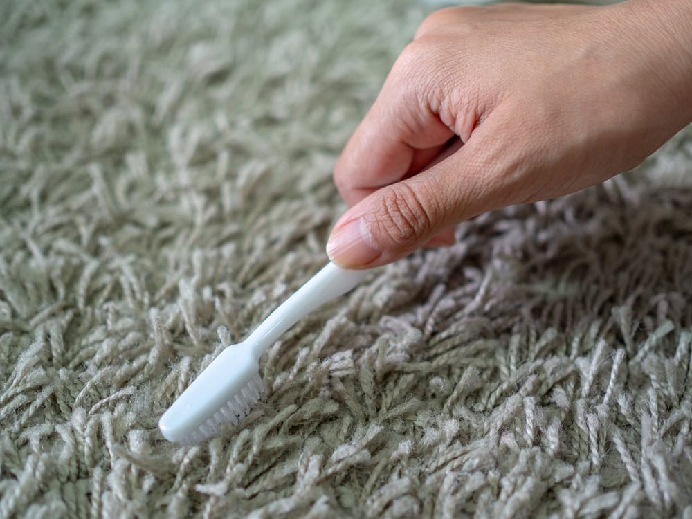clean carpet stain