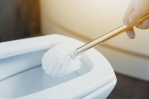 scrub toilet1