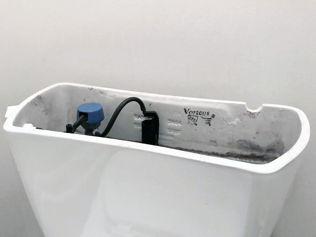 toilet tank lid 1