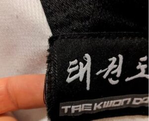 taekwon do
